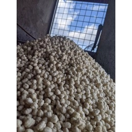 Pilus kencur cikur original 3kg