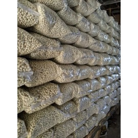 Pilus kencur cikur original 3kg