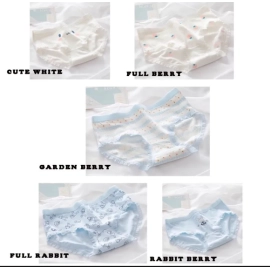 Cd imut / celana dalam wanita imut / celana dalam katun