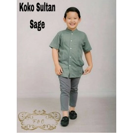 Koko Anak Sultan M