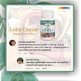 Gamat Teripang Emas Herbal Pereda Nyeri Sendi