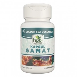 Gamat Teripang Emas Herbal Pereda Nyeri Sendi